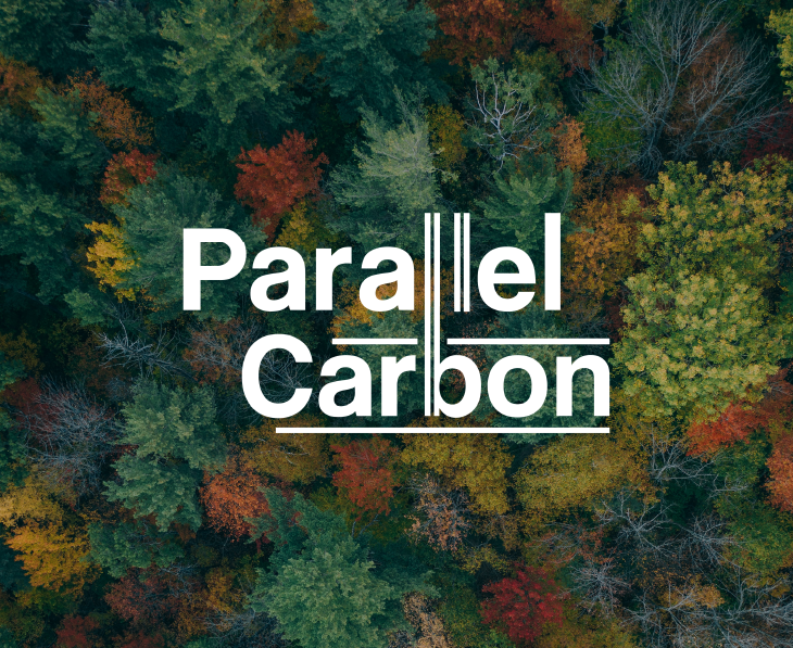 Parallel Carbon